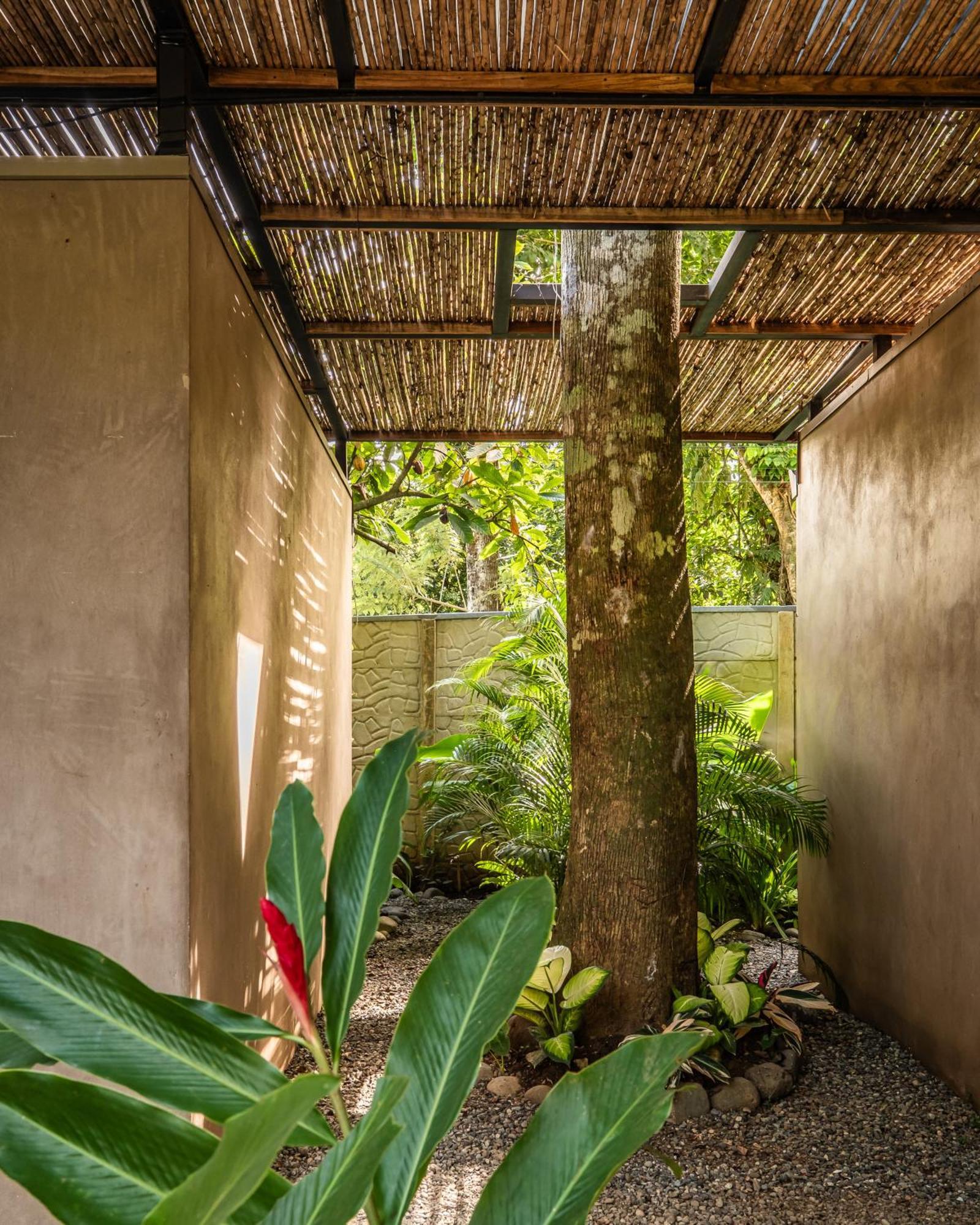 La Bonita Lodge Puerto Viejo de Talamanca Екстер'єр фото