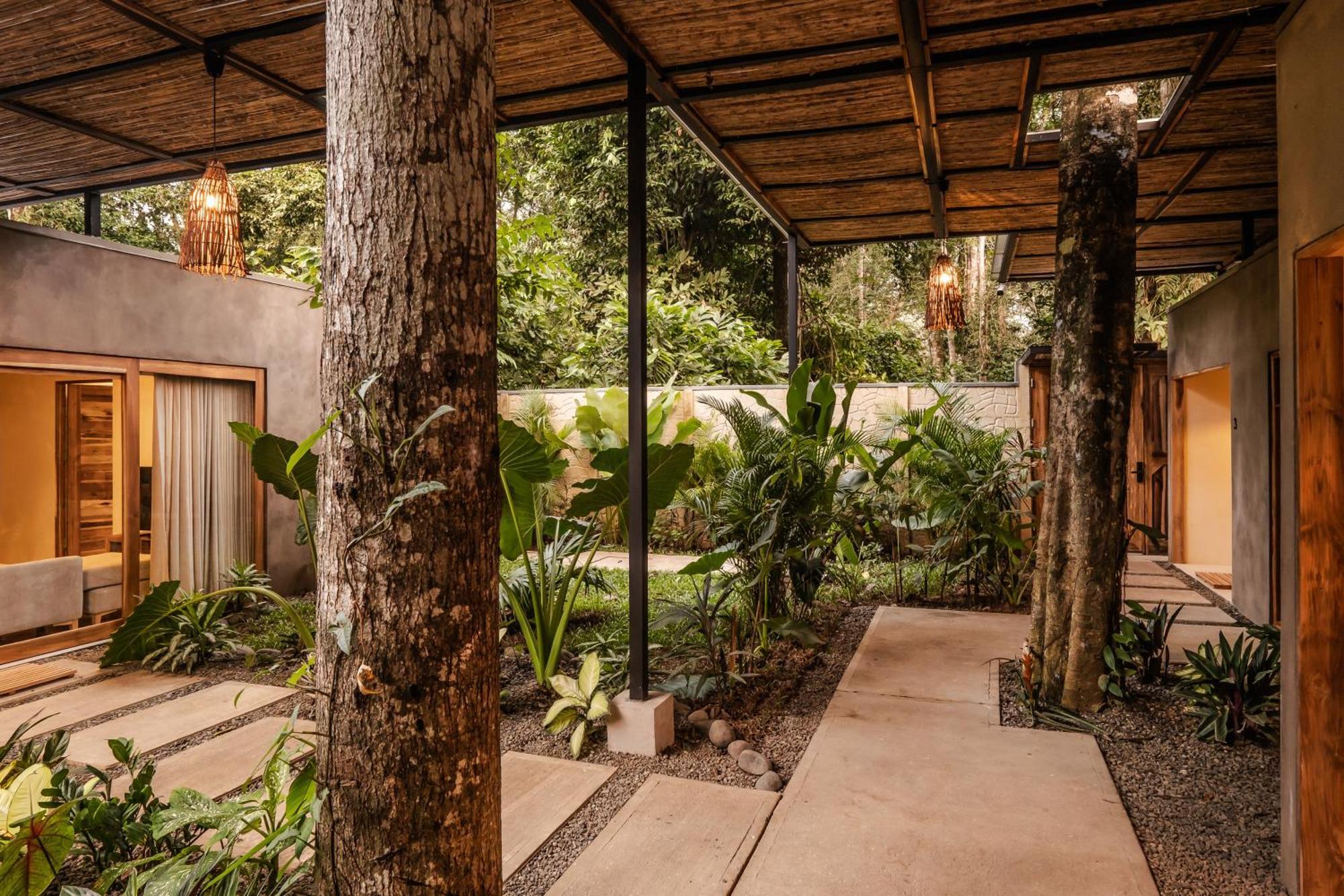 La Bonita Lodge Puerto Viejo de Talamanca Екстер'єр фото