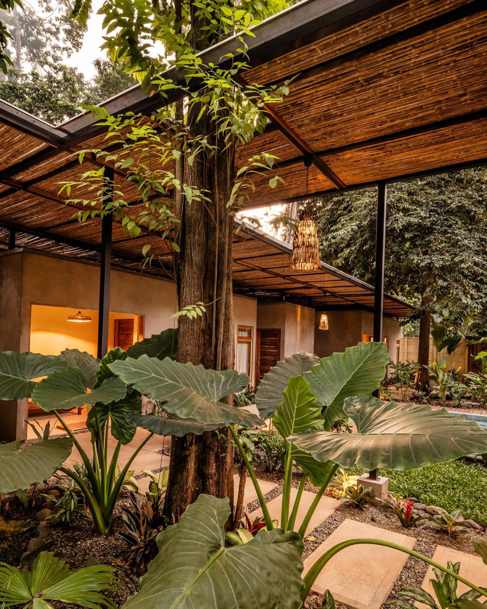 La Bonita Lodge Puerto Viejo de Talamanca Екстер'єр фото